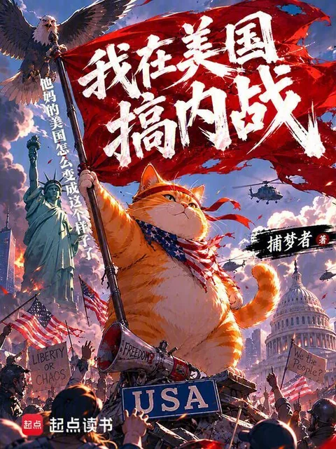 我在美國搞內戰