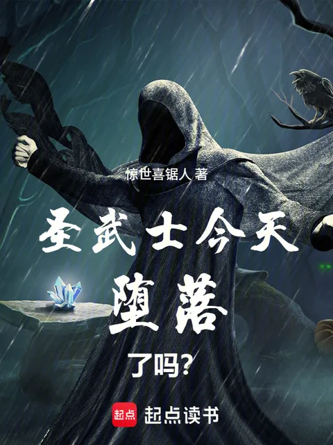 聖武士今天墮落了嗎？封面