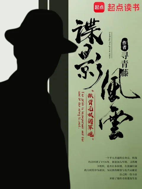 諜影風雲封面
