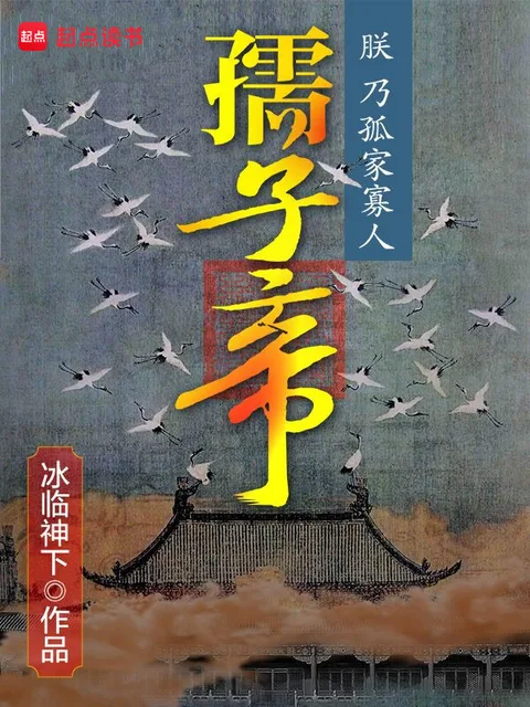 孺子帝封面