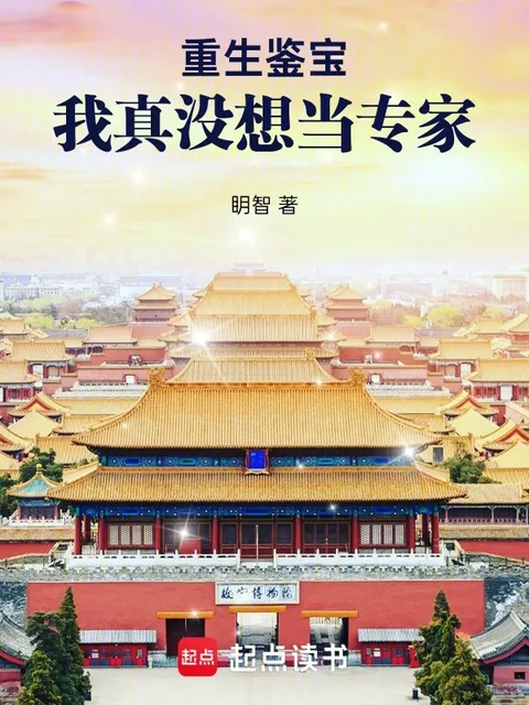 重生鑑寶：我真沒想當專家