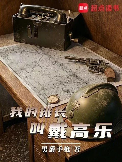 我的排長戴高樂