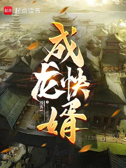 成龍快婿封面