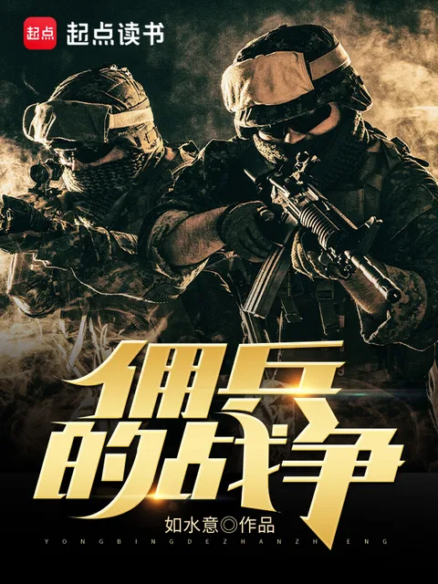 佣兵的战争封面