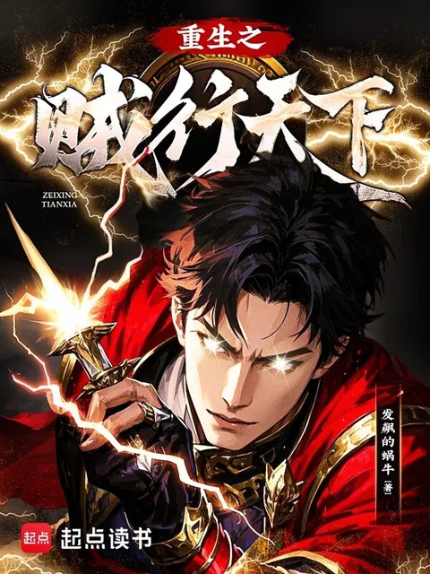 重生之賊行天下封面