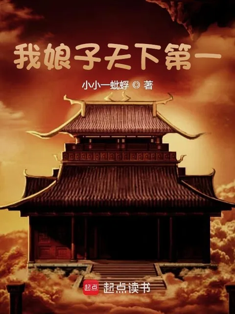 我娘子天下第一封面