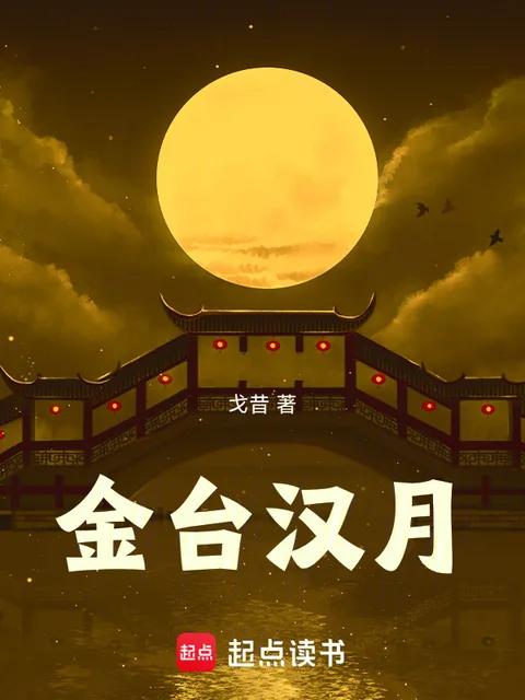 金台汉月封面