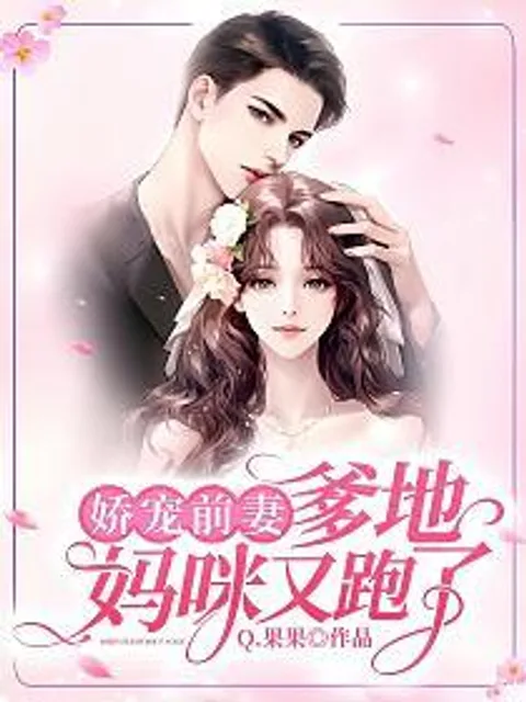 霸總追妻封面