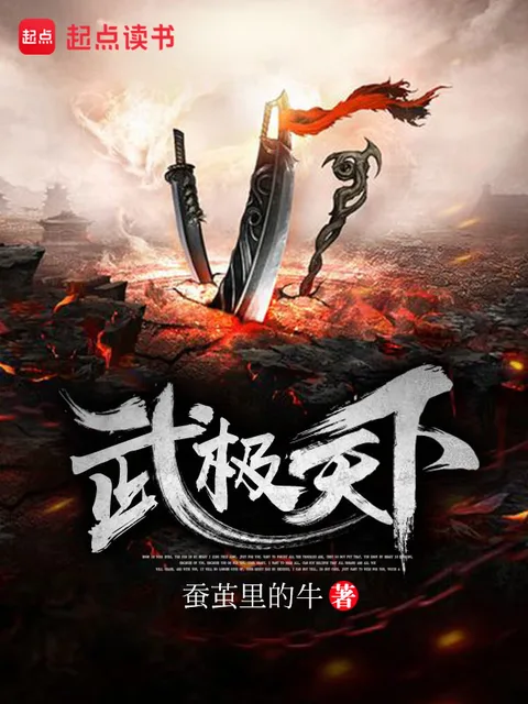 武極天下封面