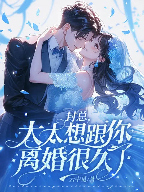 封總，太太想跟你離婚很久了封面